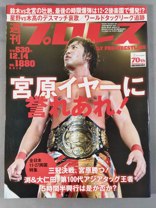 Weekly Pro Wrestling 1880