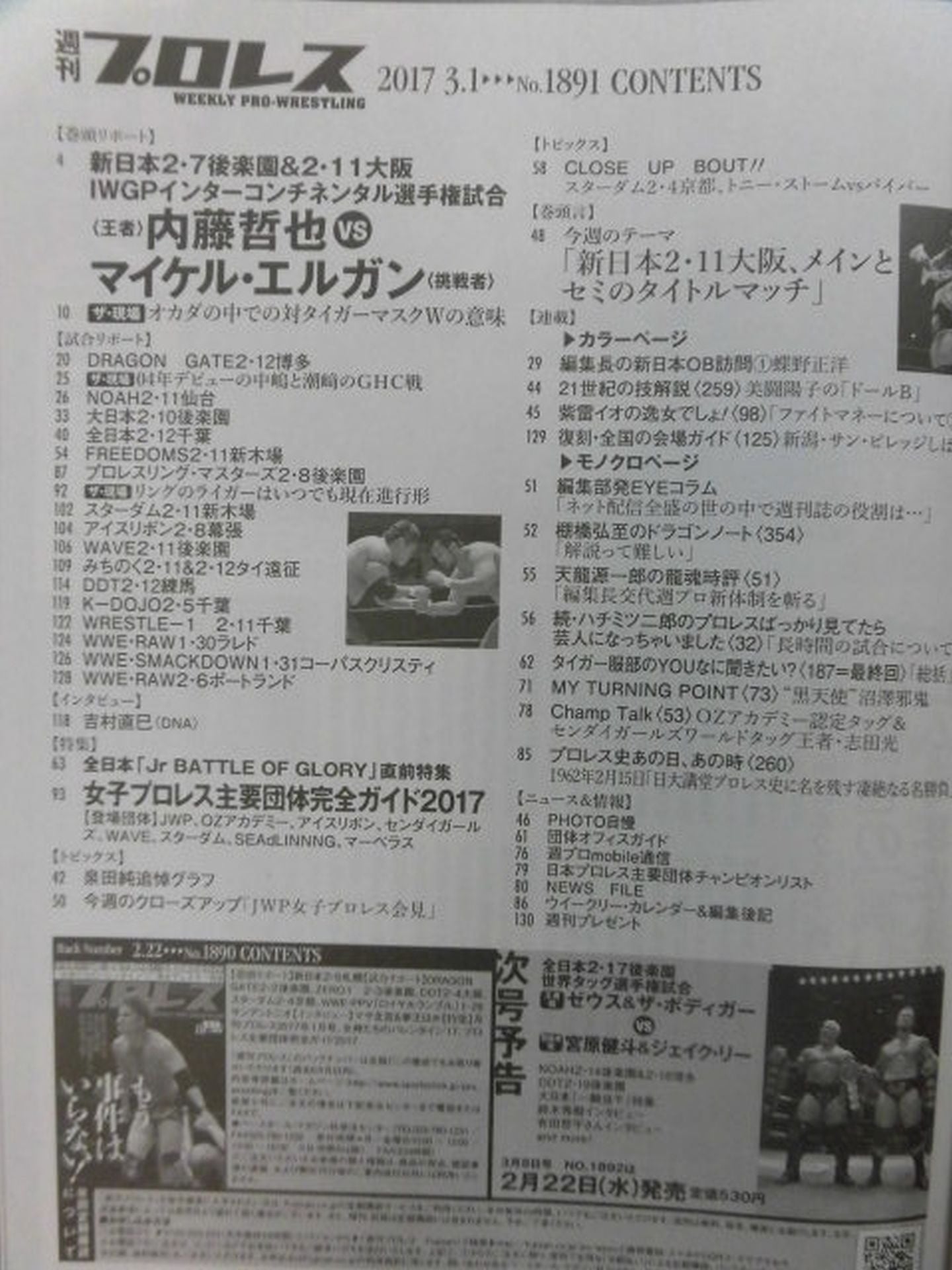 Weekly Pro Wrestling 1891