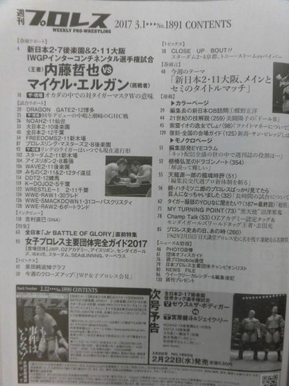 Weekly Pro Wrestling 1891