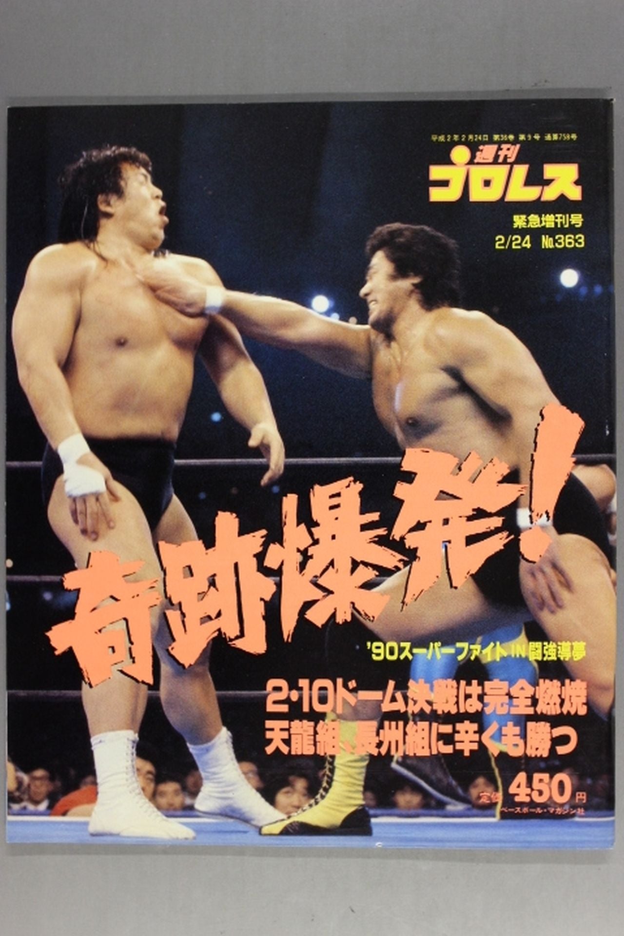 Weekly Pro Wrestling 363