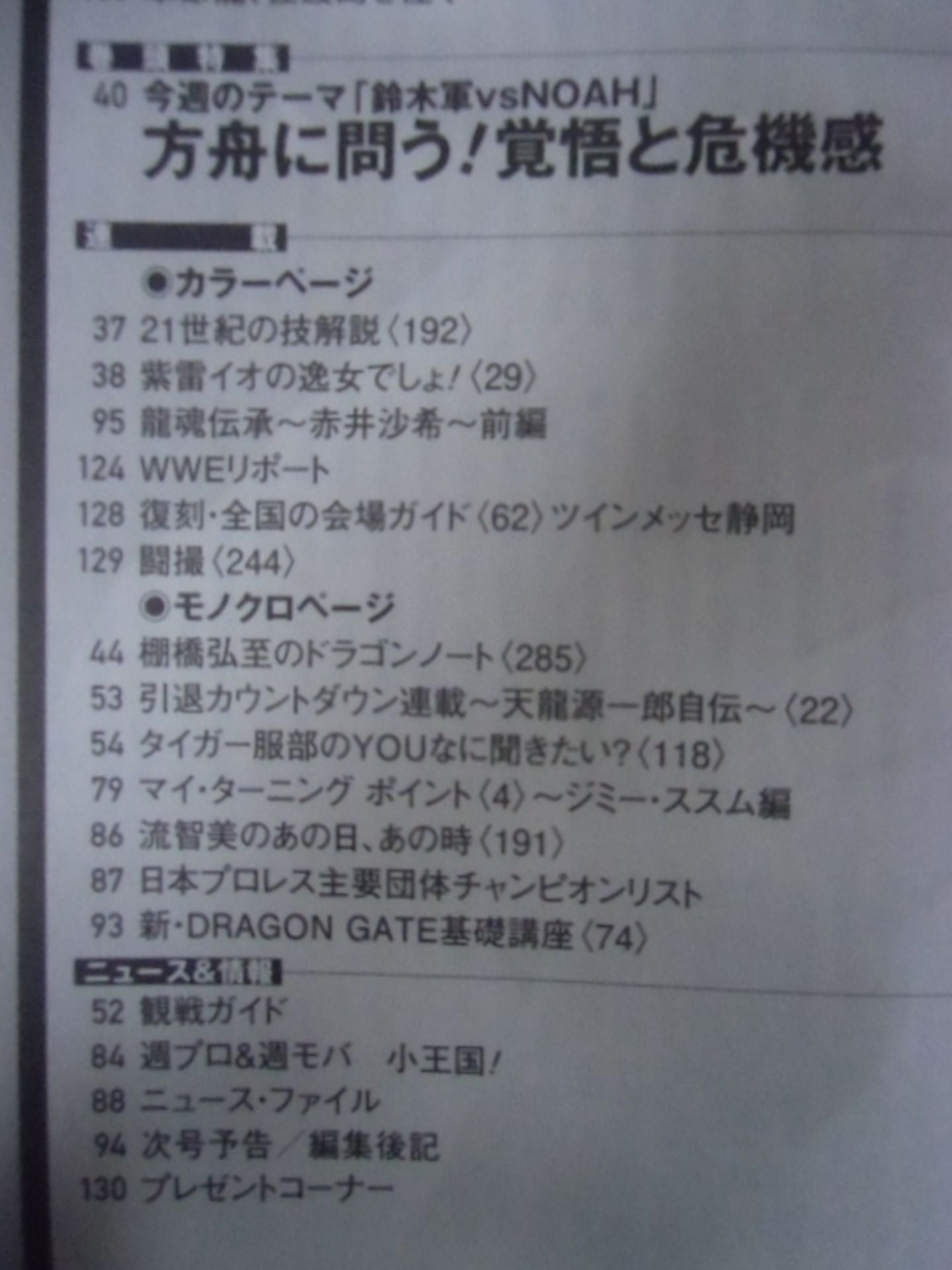 週刊プロレス1813 – 闘道館