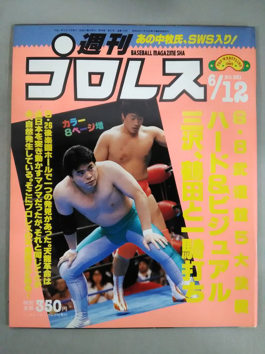 Weekly Pro Wrestling 381