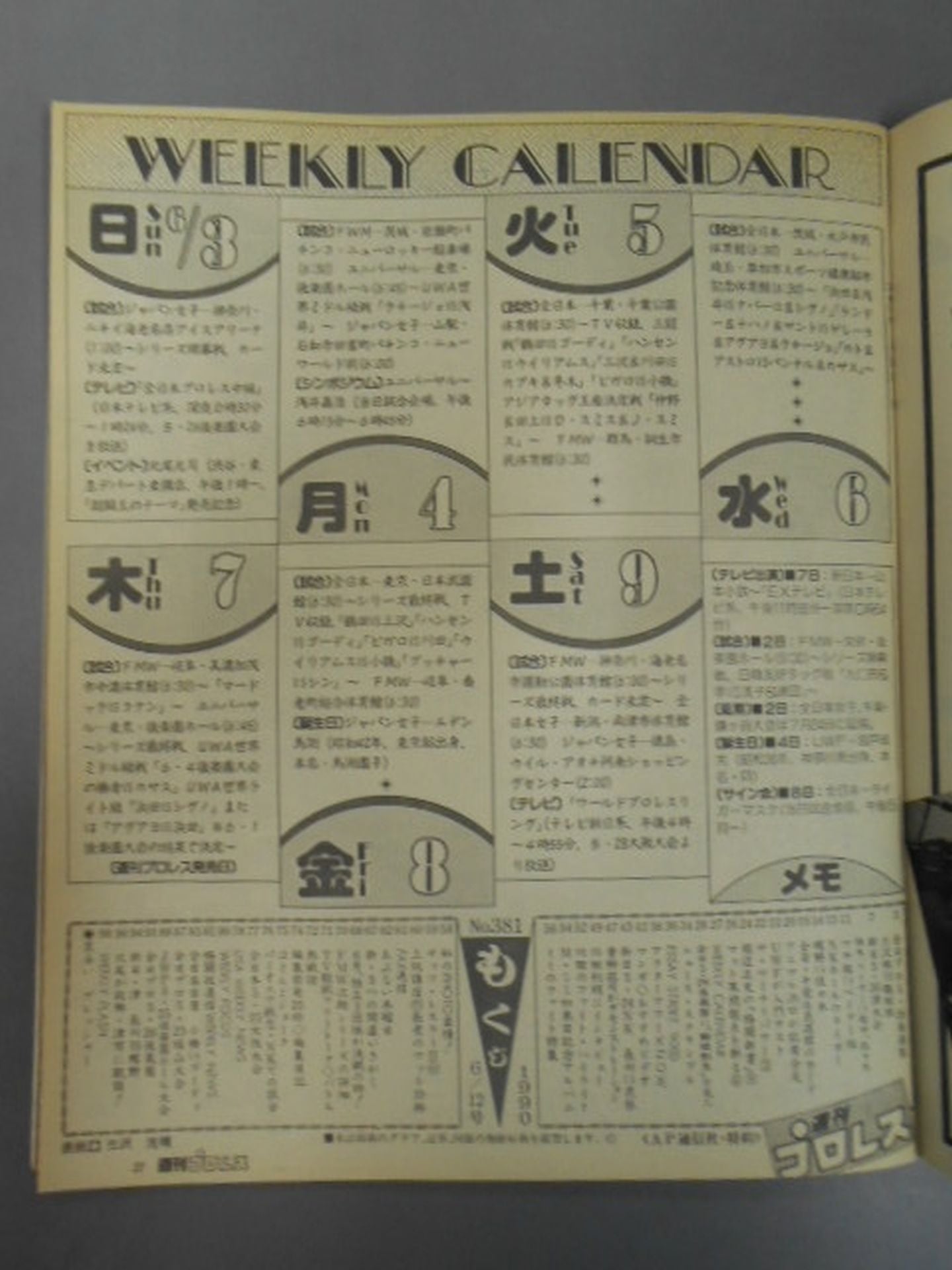 Weekly Pro Wrestling 381