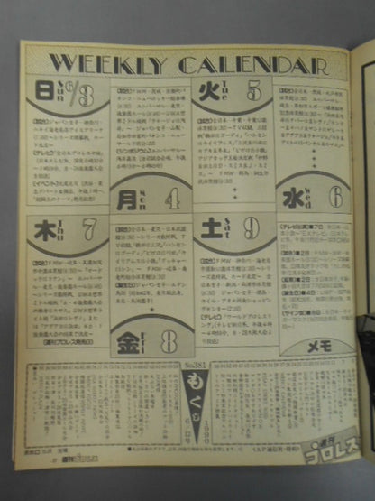 Weekly Pro Wrestling 381