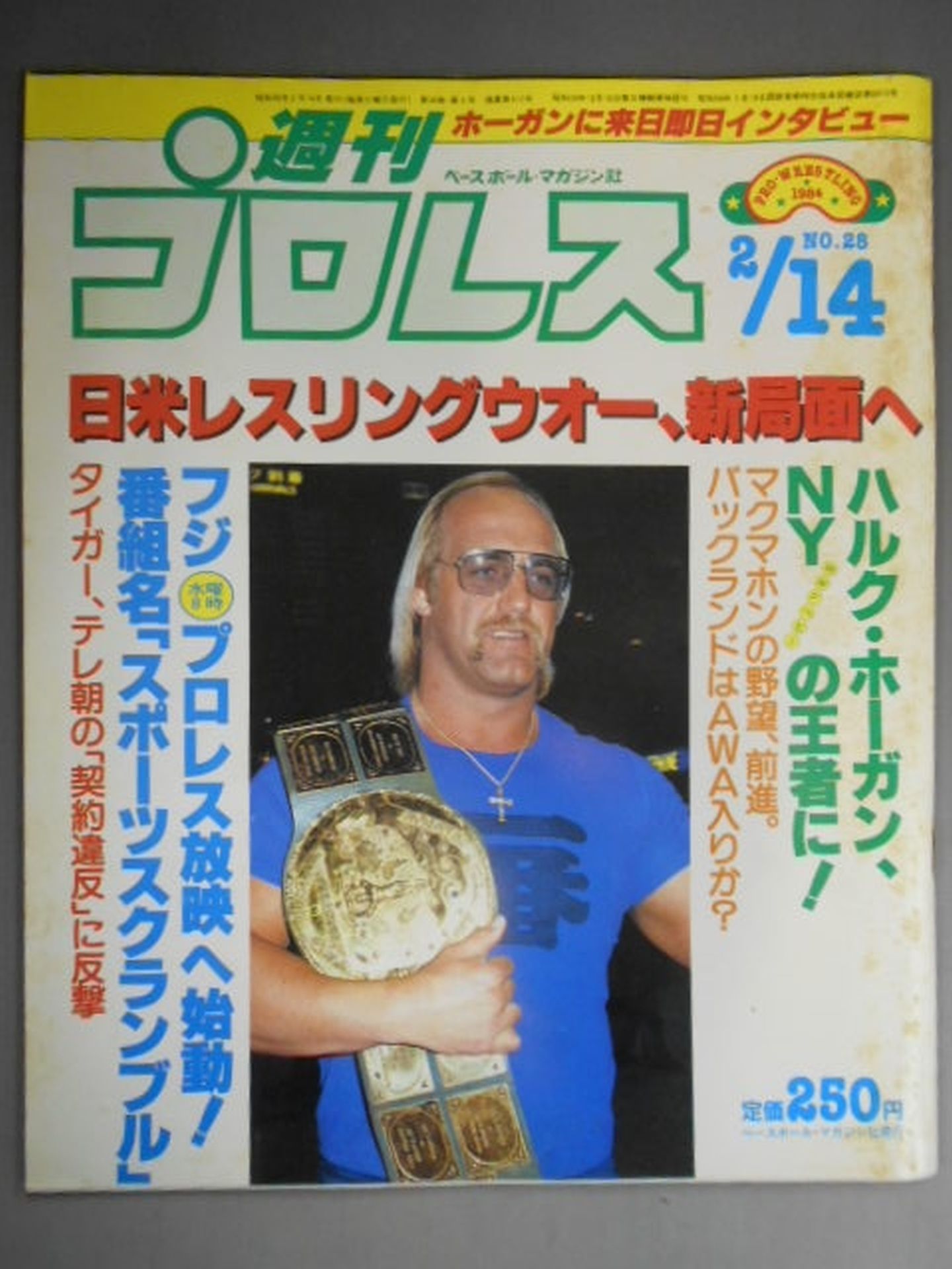 週刊プロレス28