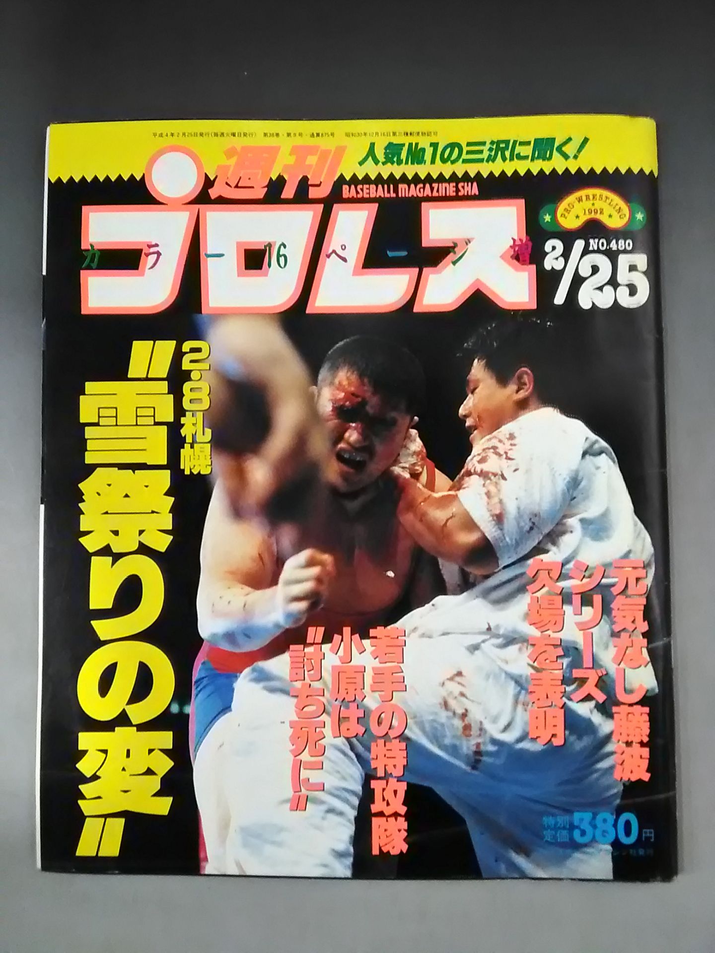 Weekly Pro Wrestling 480