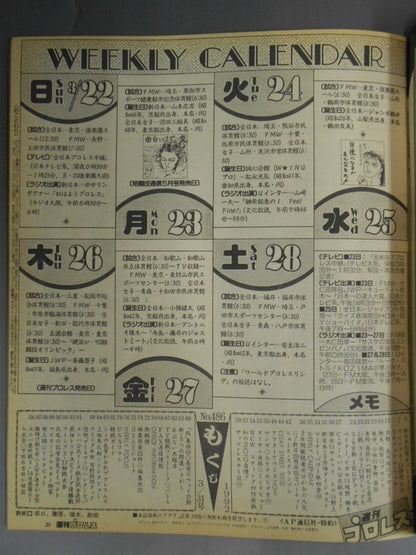 Weekly Pro Wrestling 486