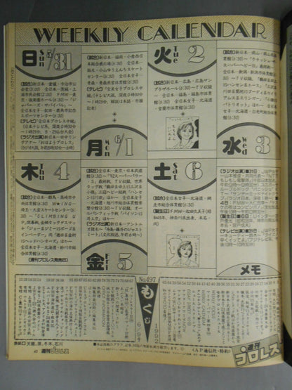 週刊プロレス497