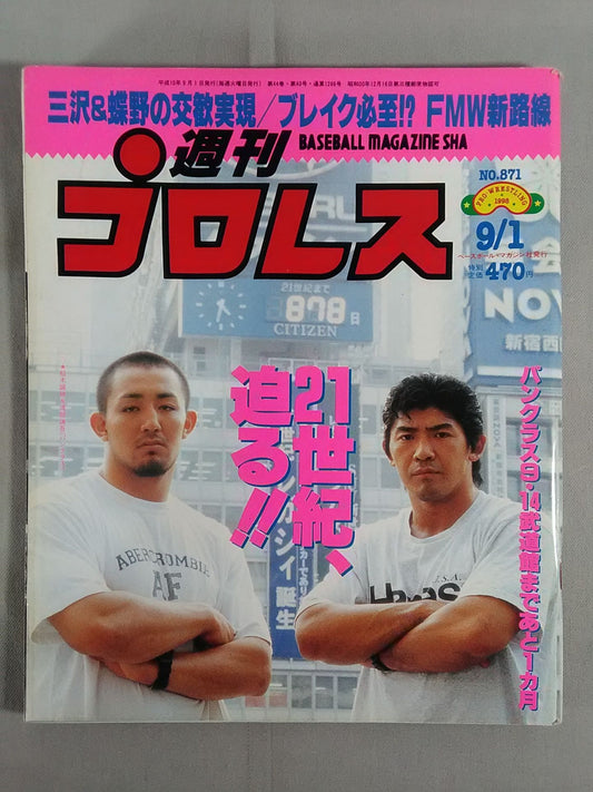 Weekly Pro Wrestling 871