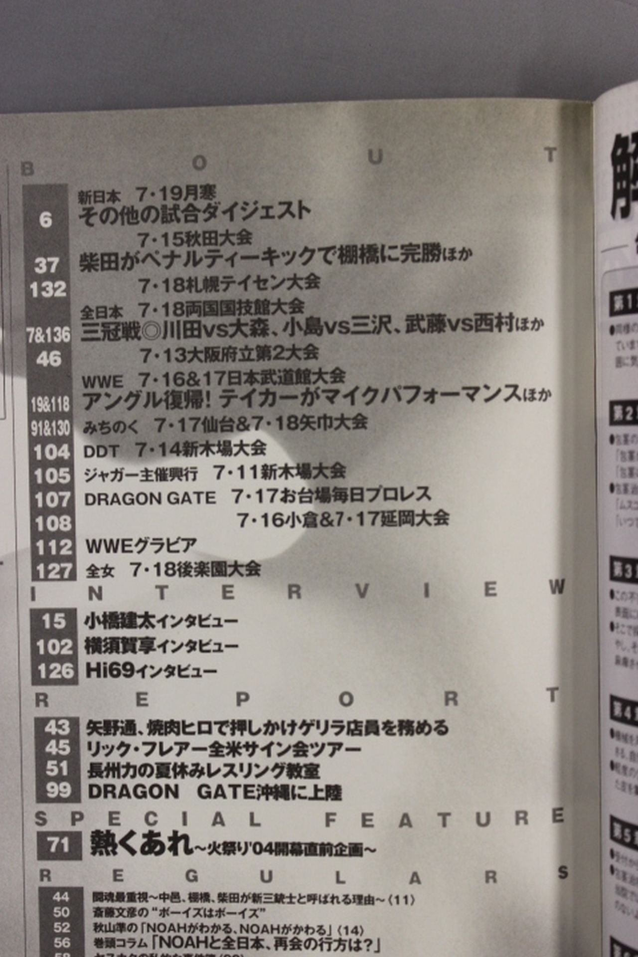 Weekly Pro Wrestling 1216