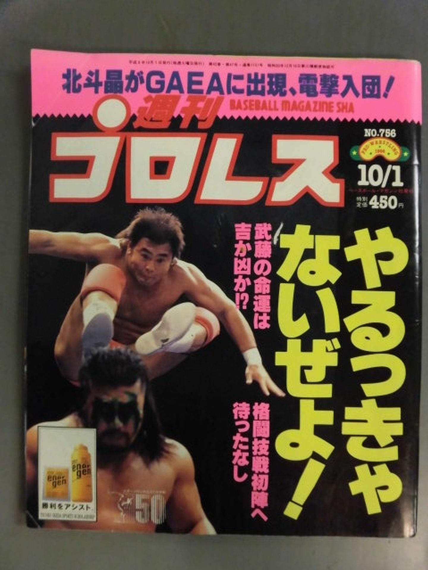 週刊プロレス756 – 闘道館