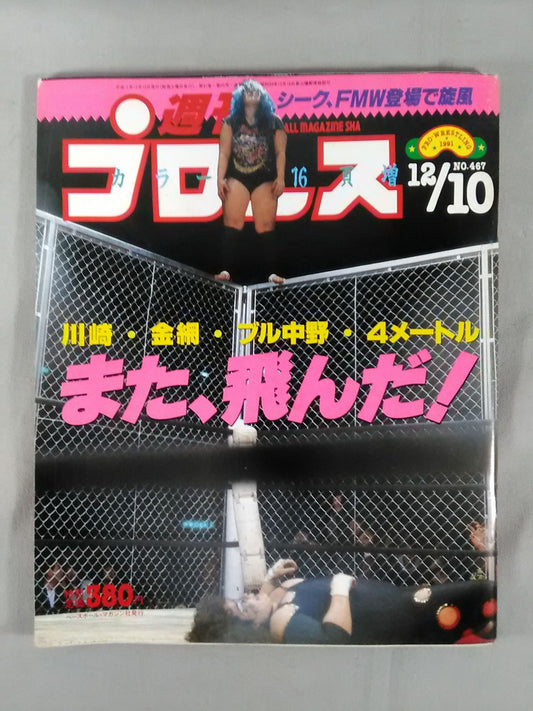 Weekly Pro Wrestling 467