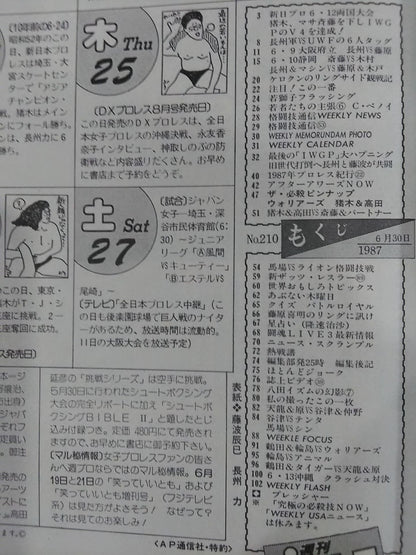 週刊プロレス210