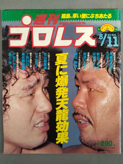 Weekly Pro Wrestling 216