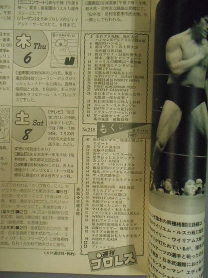 Weekly Pro Wrestling 216