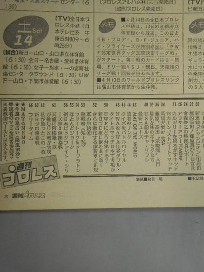 週刊プロレス37