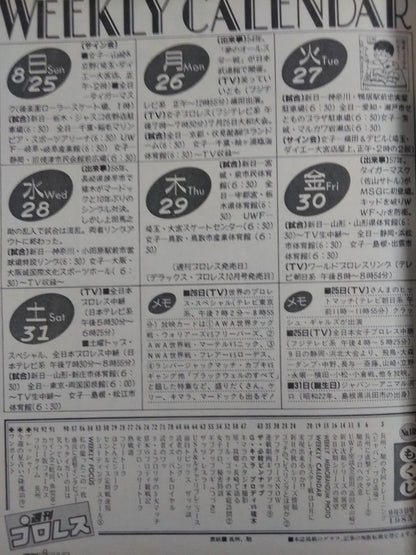 週刊プロレス108