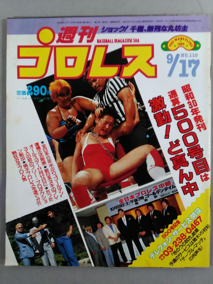 Weekly Pro Wrestling 110