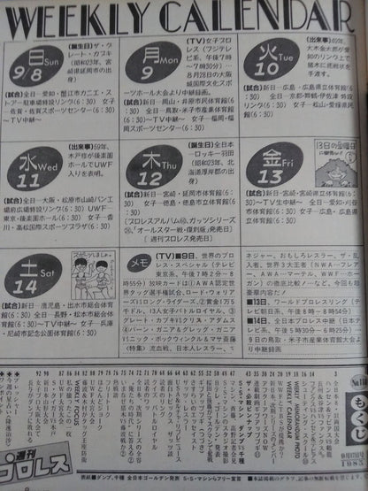 Weekly Pro Wrestling 110