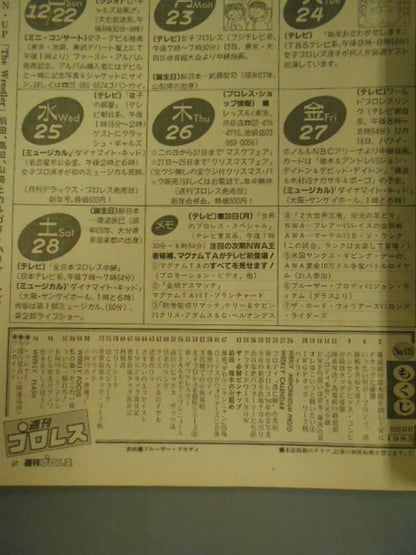 週刊プロレス125