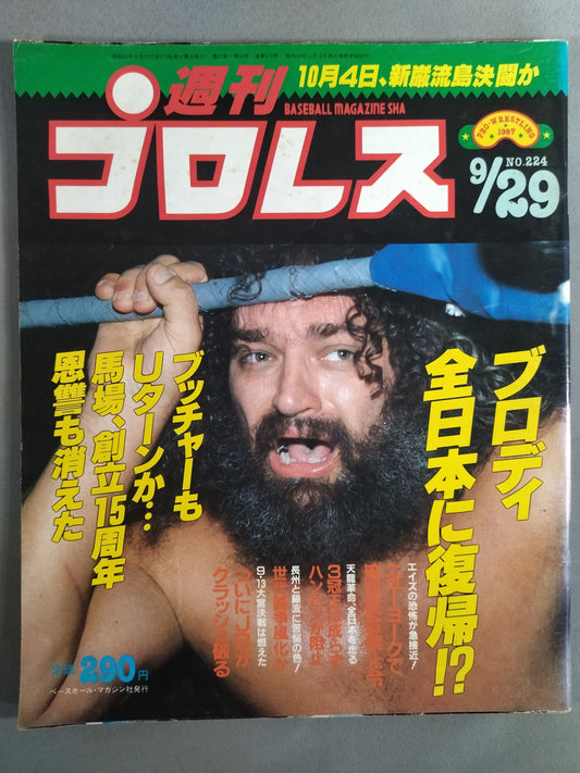 Weekly Pro Wrestling 224