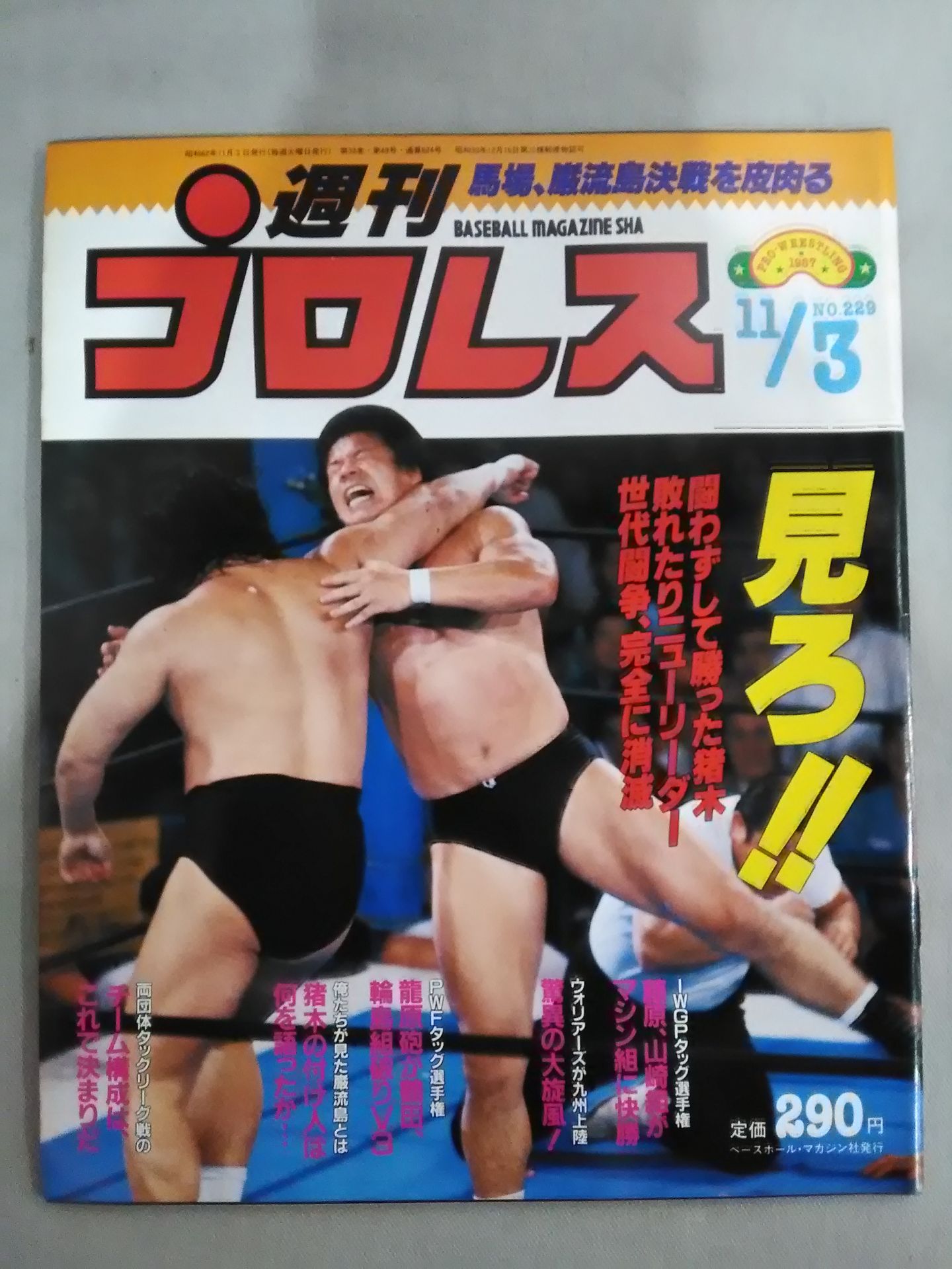 週刊プロレス229
