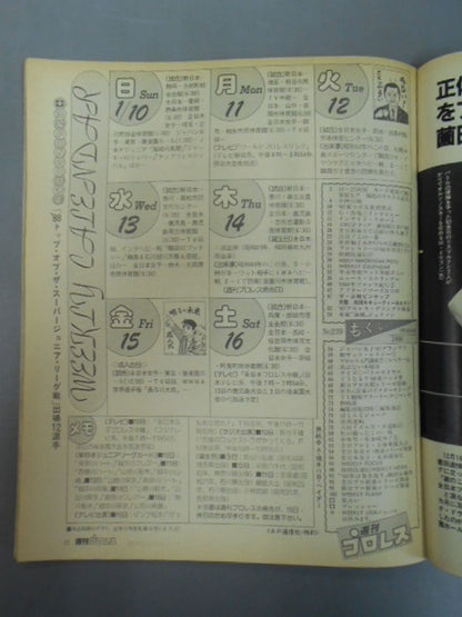 週刊プロレス239