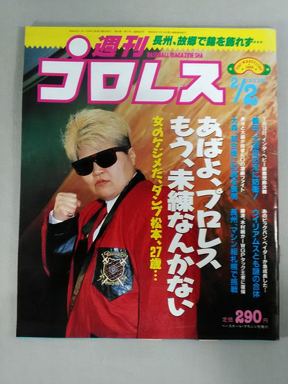 Weekly Pro Wrestling 241