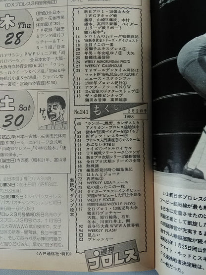 Weekly Pro Wrestling 241
