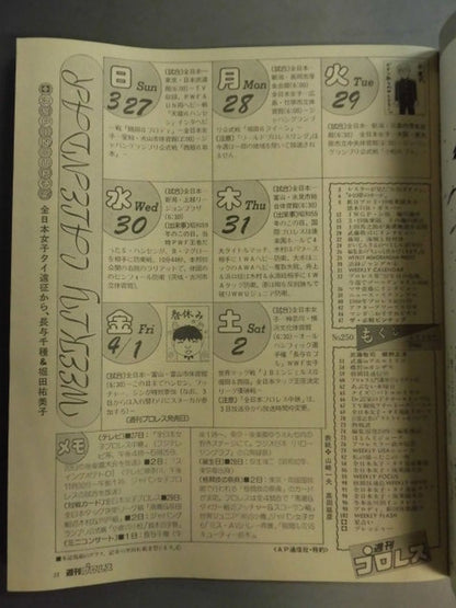 週刊プロレス250