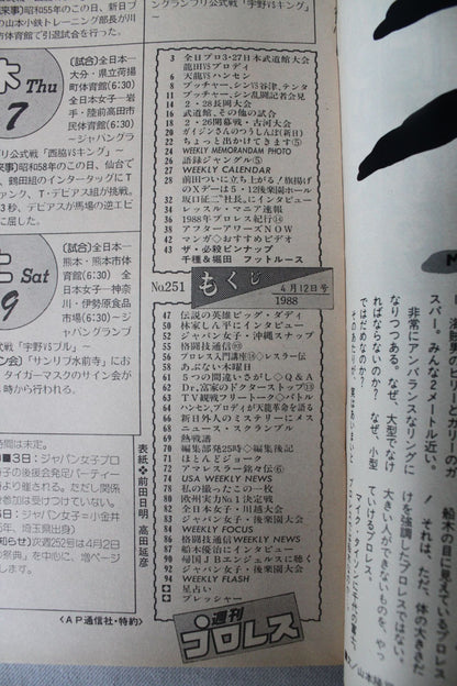 週刊プロレス251