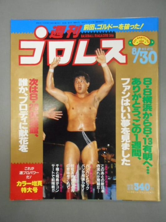 Weekly Pro Wrestling 272