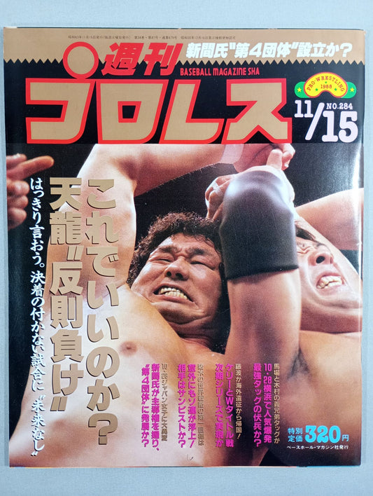 Weekly Pro Wrestling 284