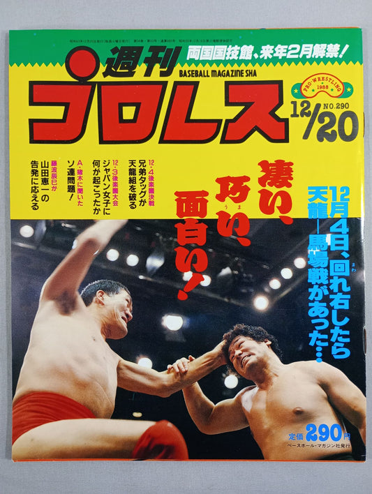 Weekly Pro Wrestling 290