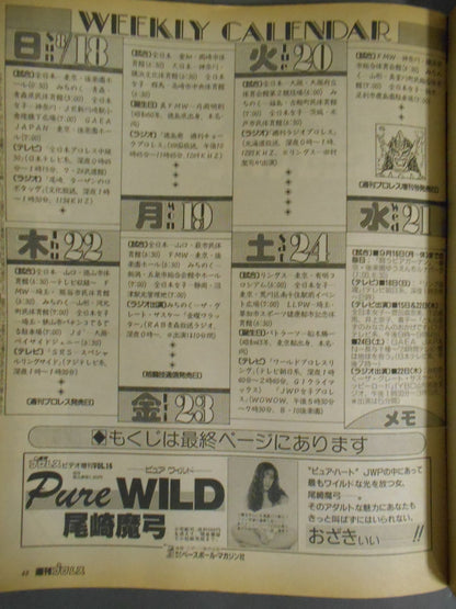 Weekly Pro Wrestling 749