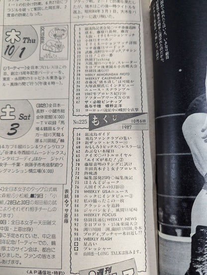 週刊プロレス225
