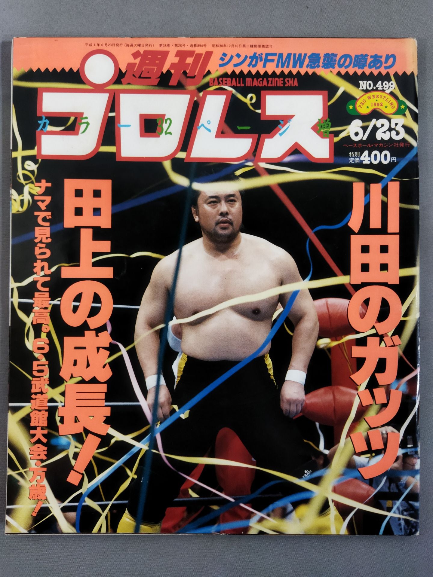 Weekly Pro Wrestling 499