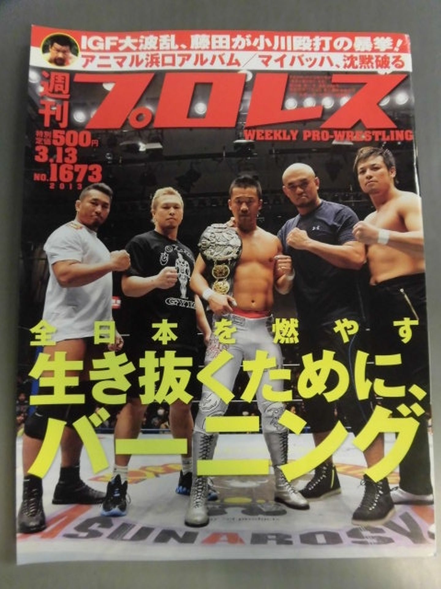 Weekly Pro Wrestling 1673