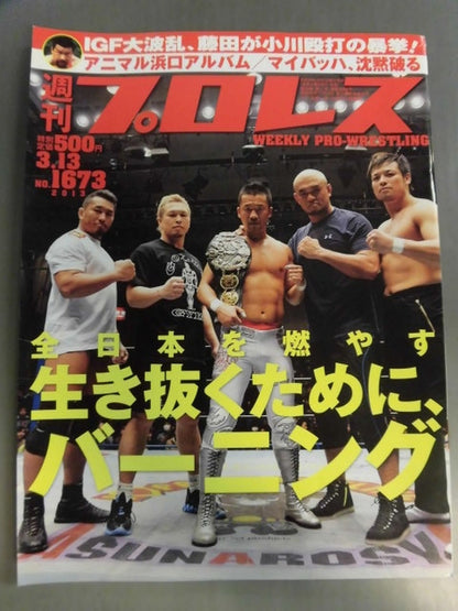 Weekly Pro Wrestling 1673