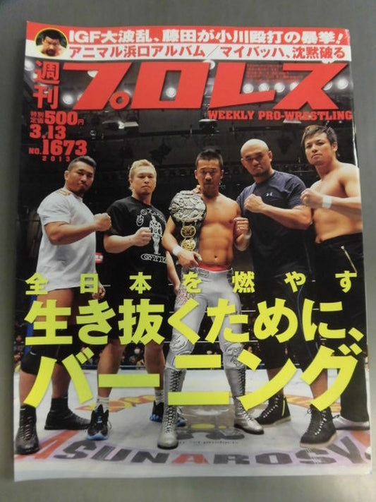 Weekly Pro Wrestling 1673