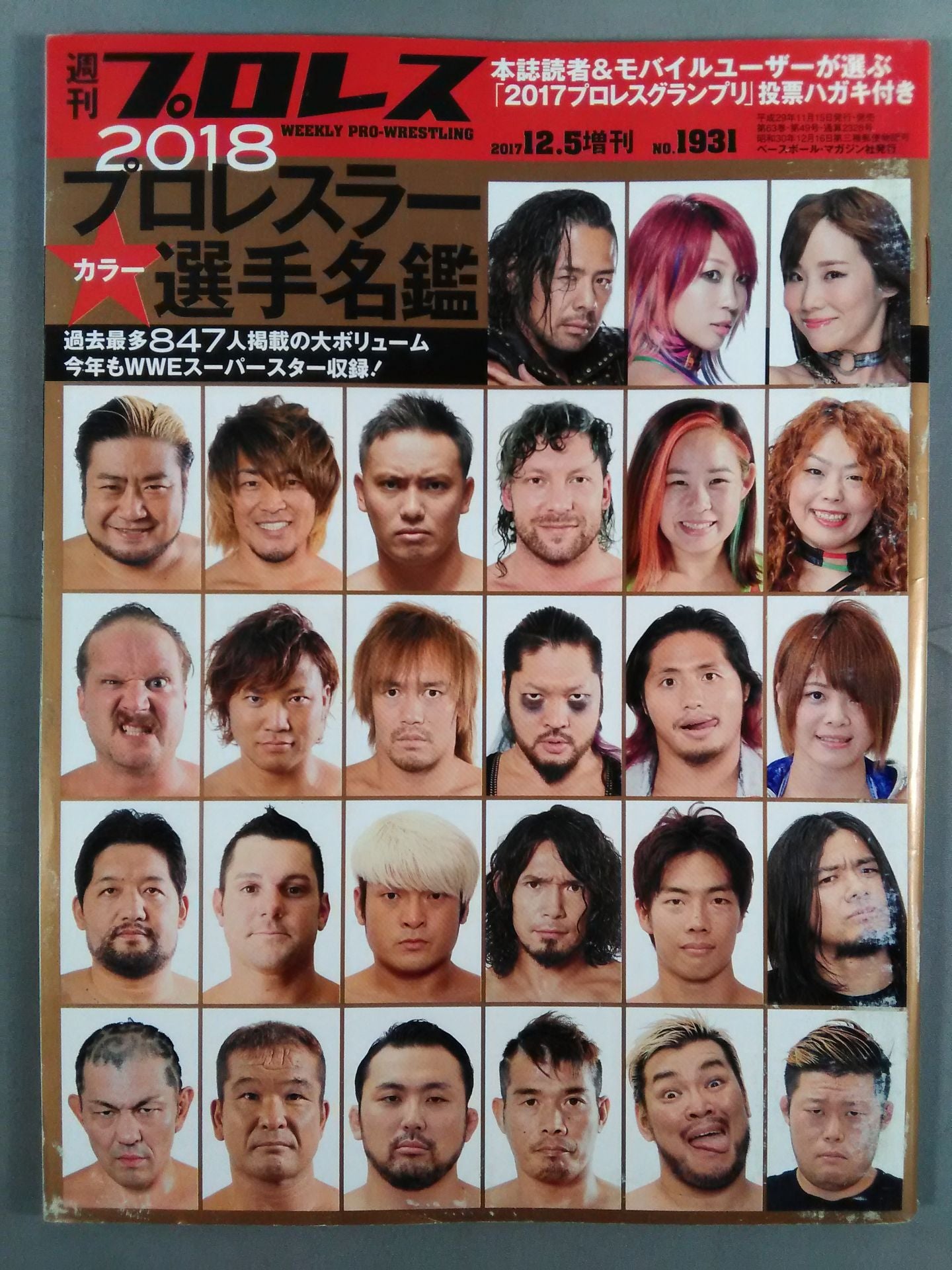 週刊プロレス1931 – 闘道館