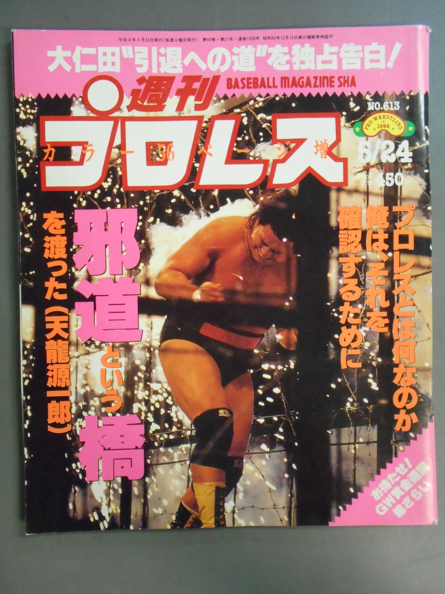 週刊プロレス613