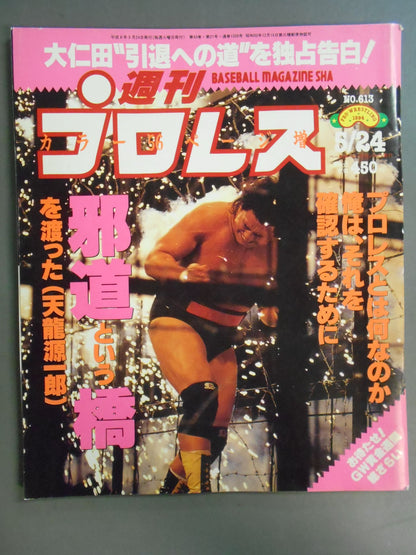 週刊プロレス613