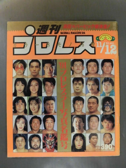 Weekly Pro Wrestling  462