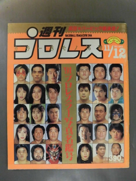 Weekly Pro Wrestling  462