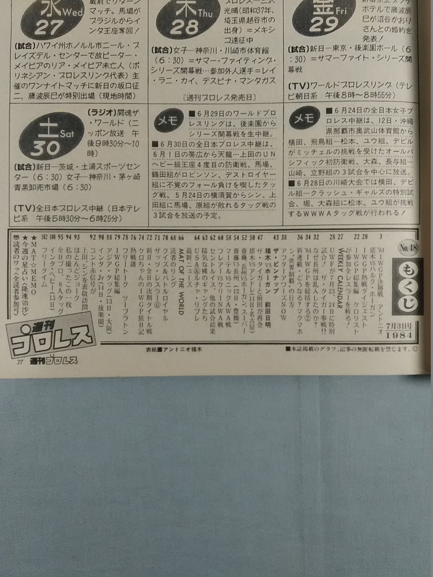  Weekly  Pro Wrestling 48