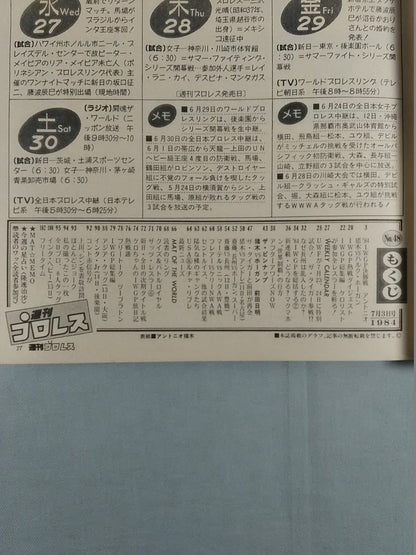  Weekly  Pro Wrestling 48