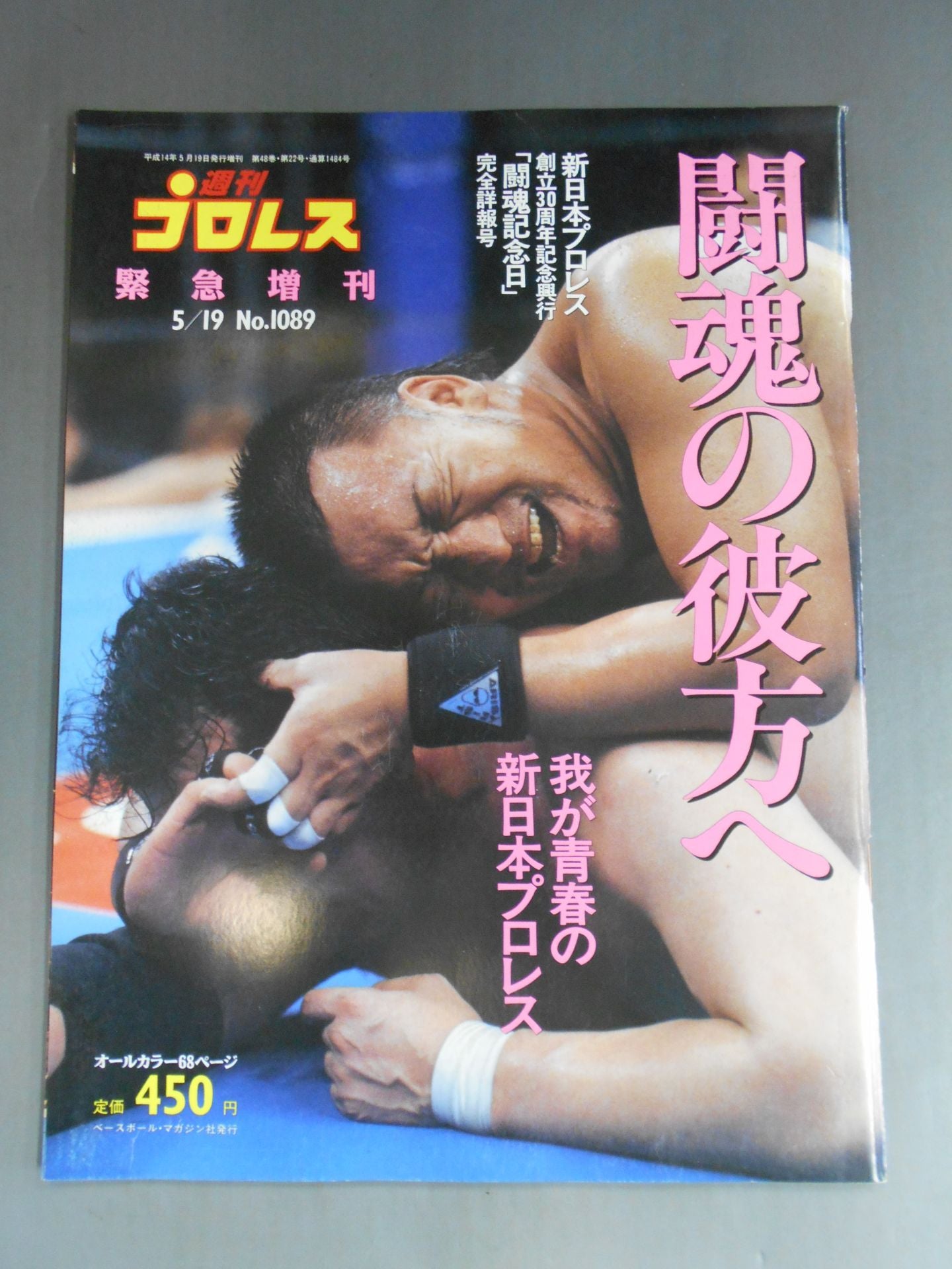 Weekly Pro Wrestling 1089