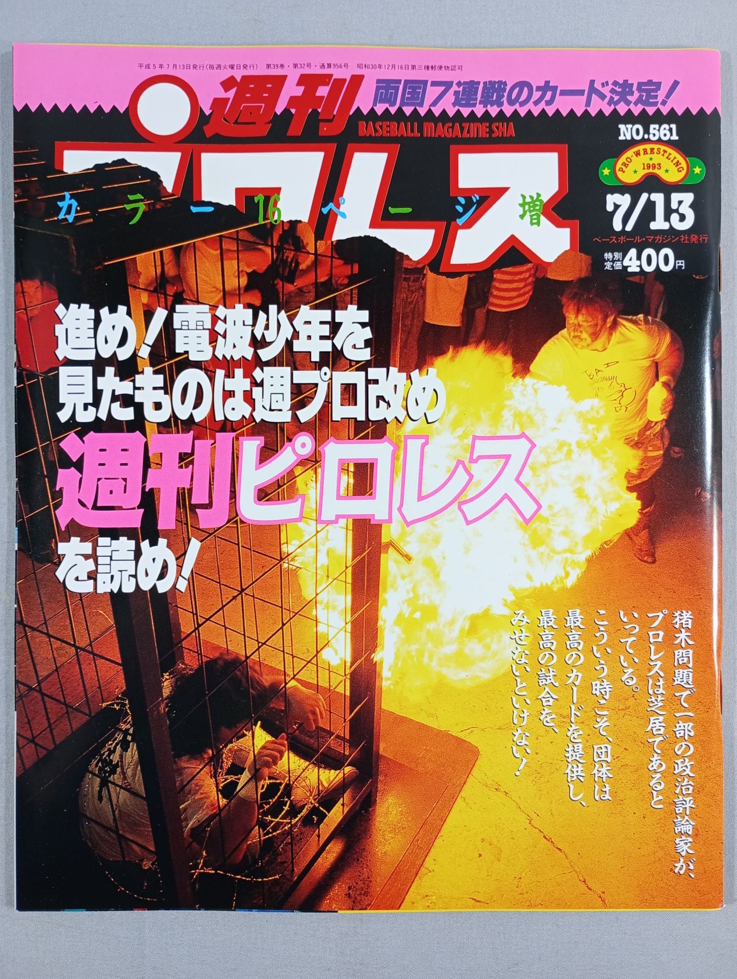 Weekly Pro Wrestling 561