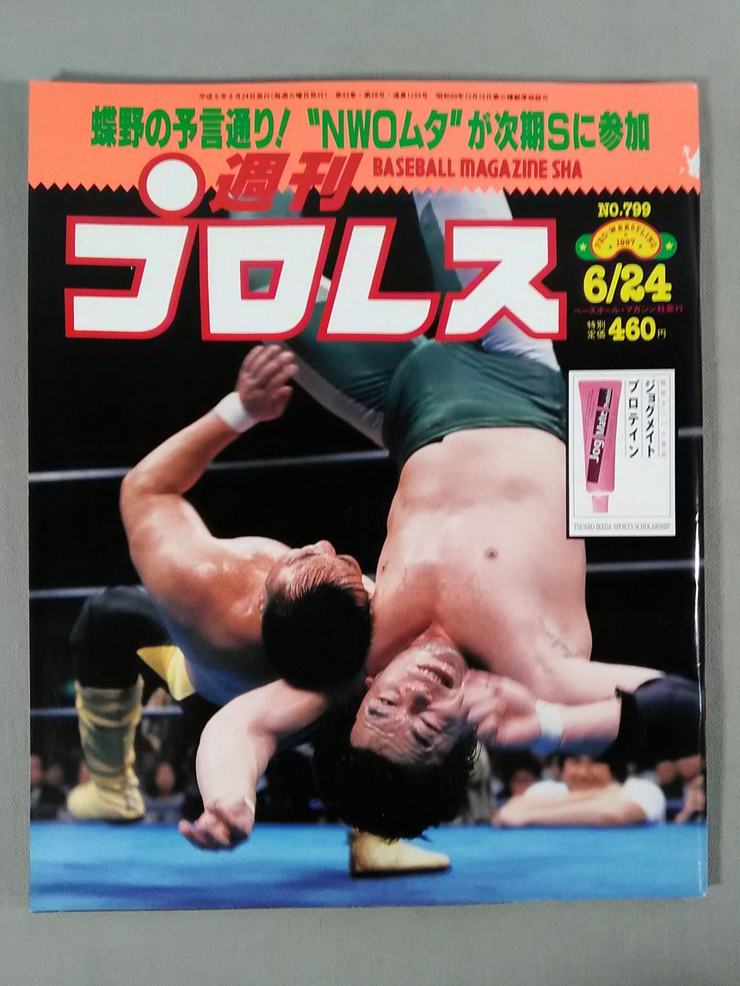 プロレス雑誌　週刊プロレス　週刊ゴング　32冊 週刊プロレス799 – 闘道館